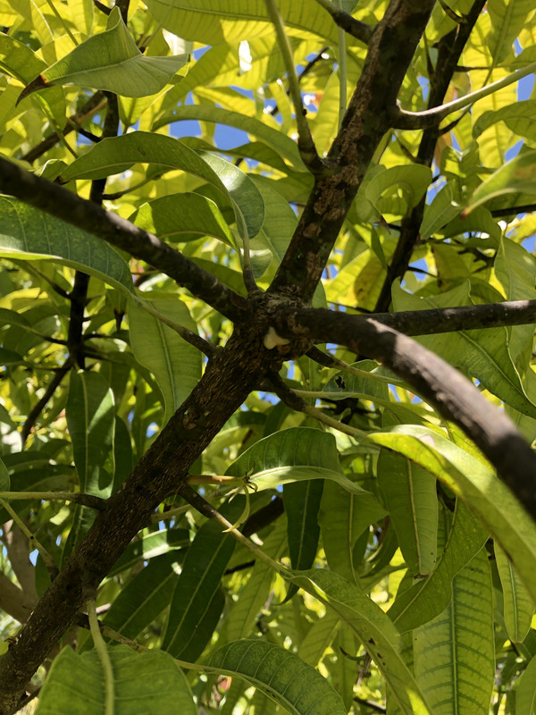 D67C9F8D-2420-4C19-8326-554AC9946646