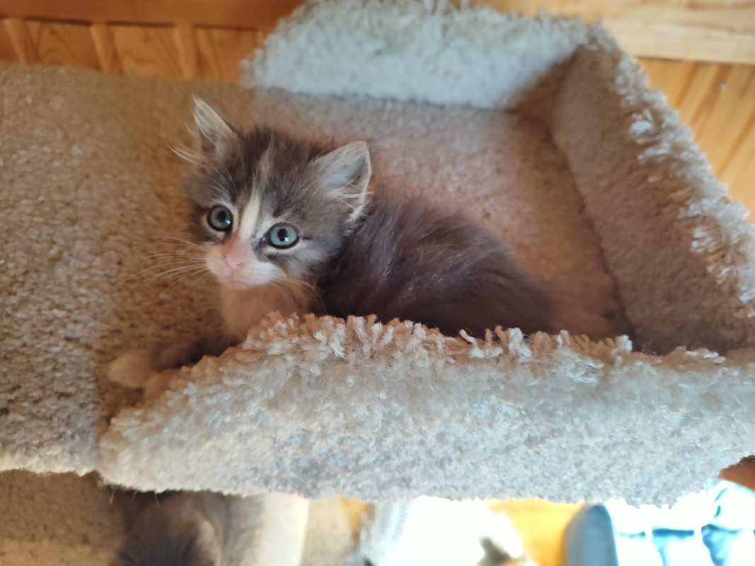 Изображение WhatsApp 2025-08-18 в 10.29.18_8118271c