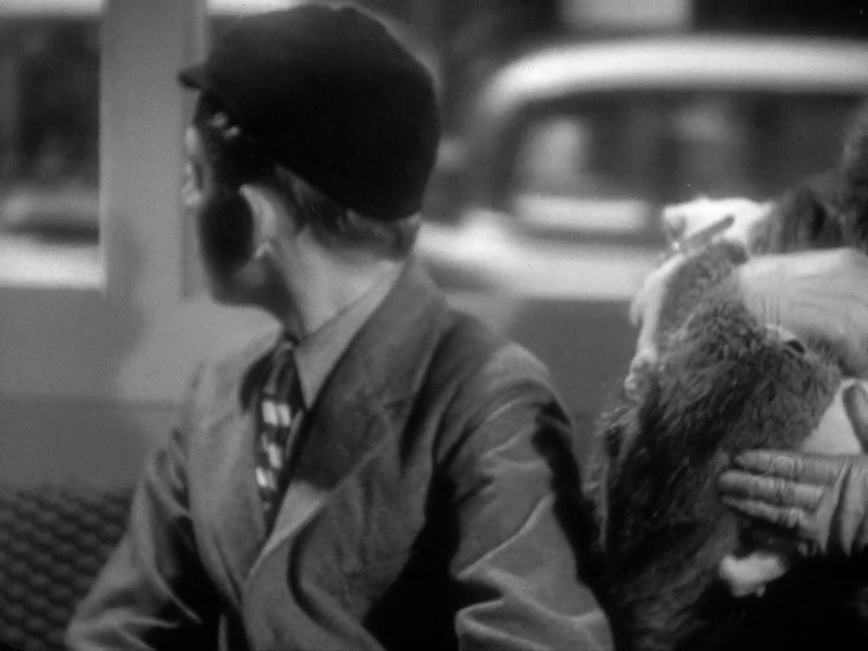 vlcsnap-2023-07-30-17h03m18s006