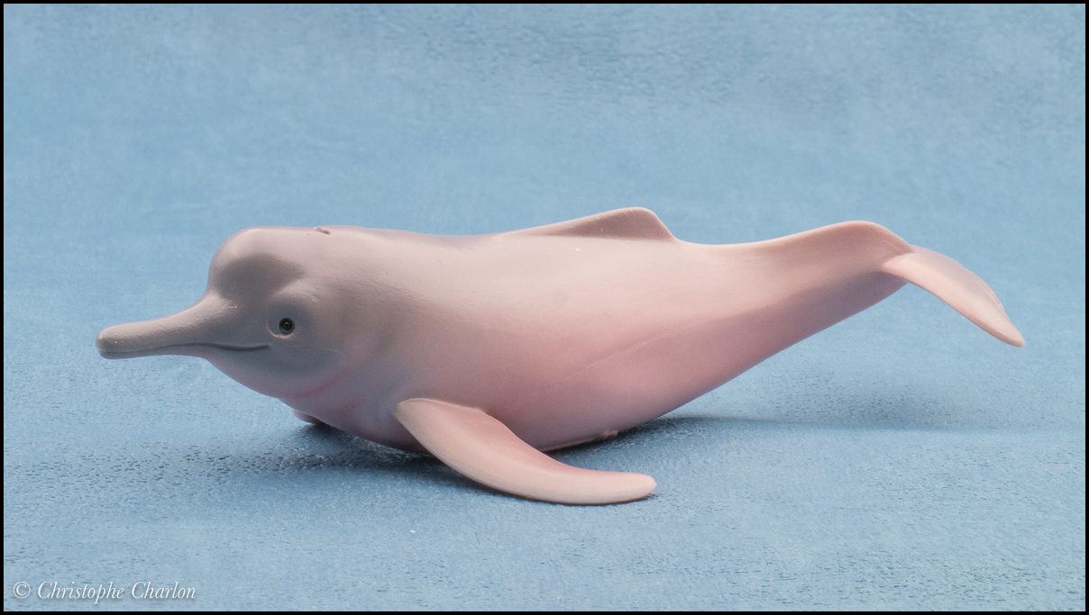 2023 Wildlife Figure of the Year: the Final pick ! CollectA_88994_Amazon_River_Dolphin_1