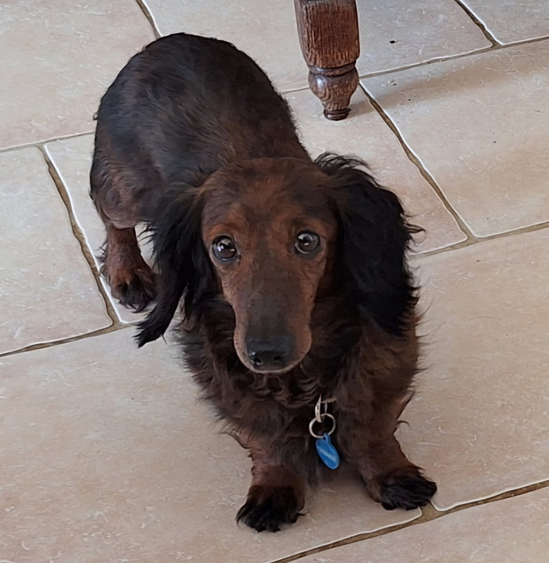 [Image: 20250201-133033.jpg]