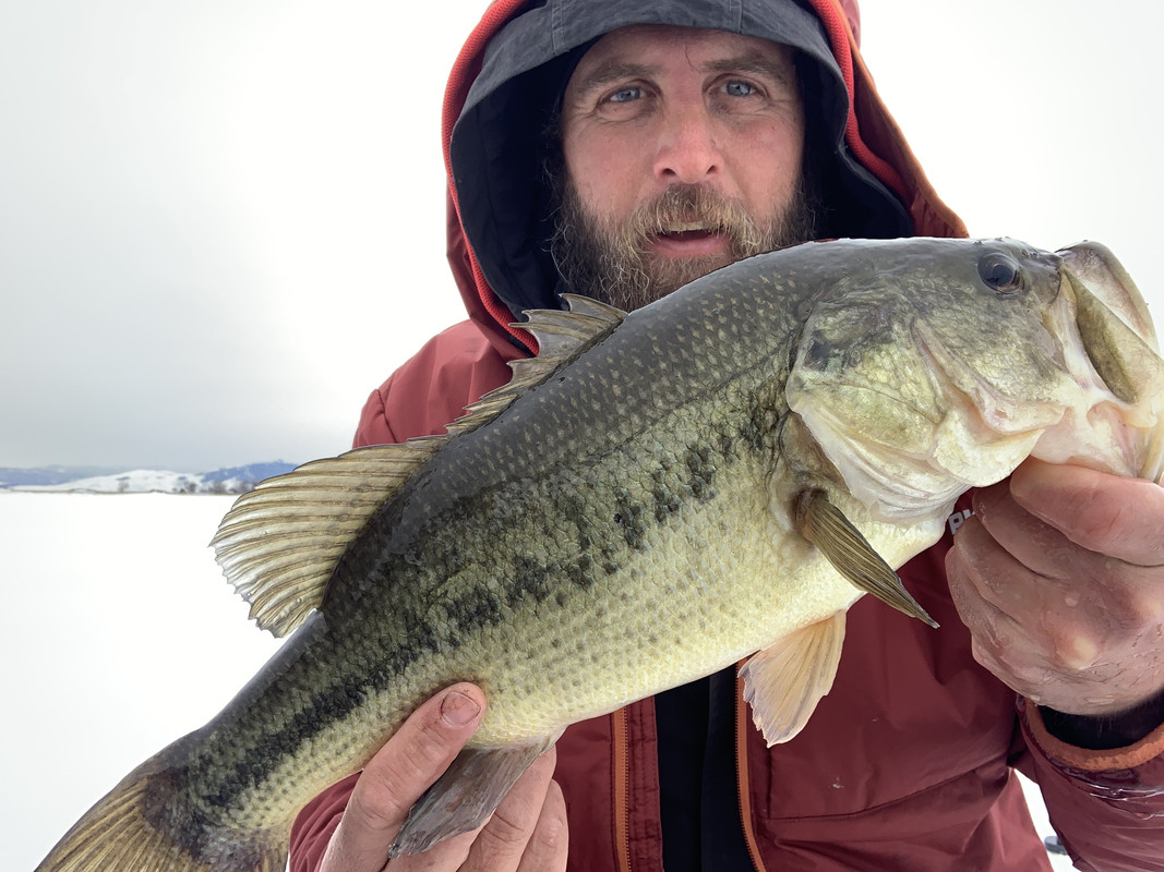 030F019E-87C6-46EA-9274-27E62A178E56