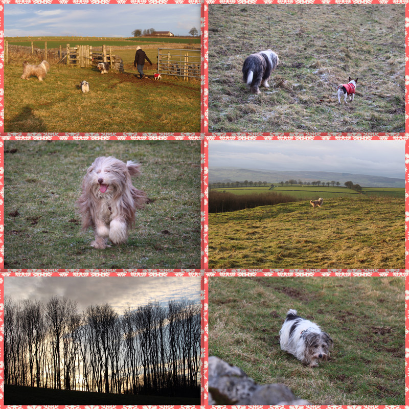 3A907070-30BA-4128-89F8-78C7C8356D5B