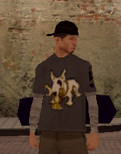 sa-mp-014.png