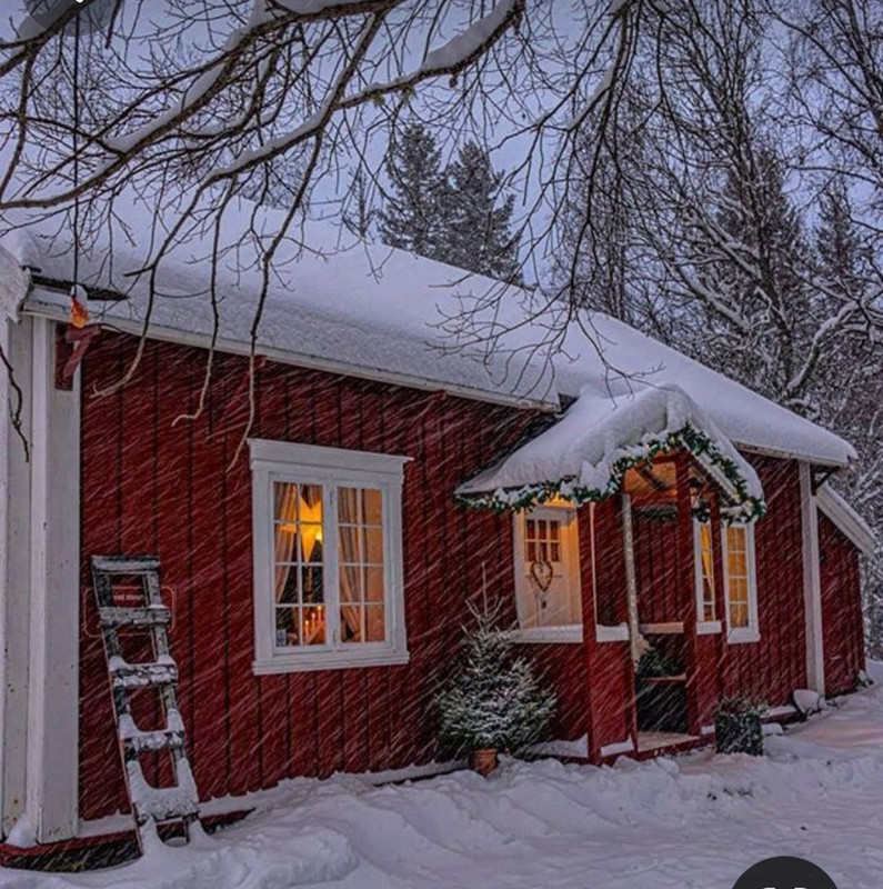 Screenshot_20231119_181853_Pinterest