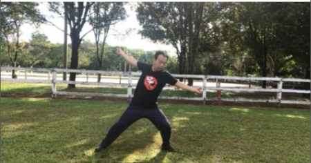 Aerobic Tai Chi Workout   Original Chen Style Old Form Two