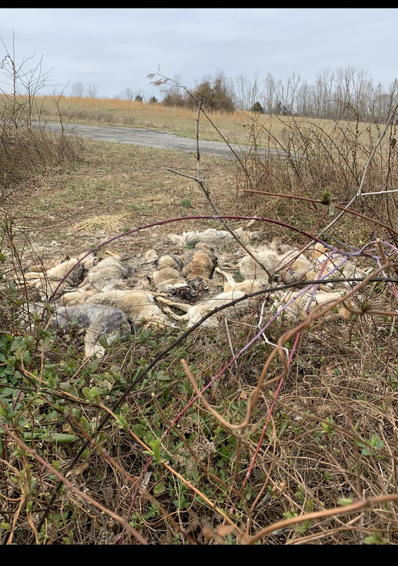 17D9CE78-334C-4564-89ED-4E9B239EB5E5