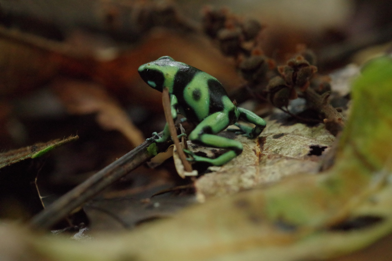 Fieldwork photo 3