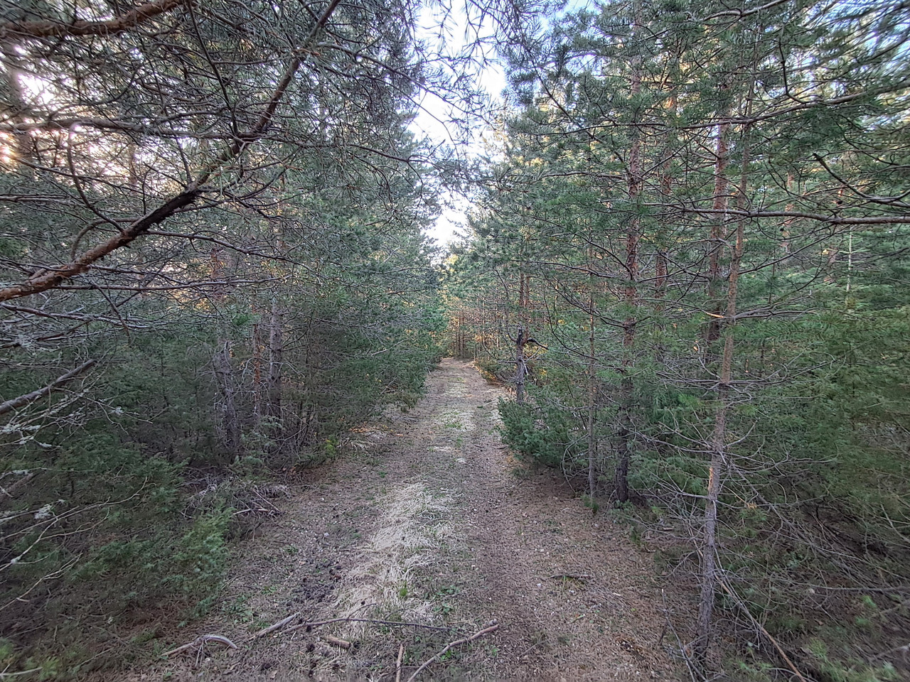 20260425-071221.jpg