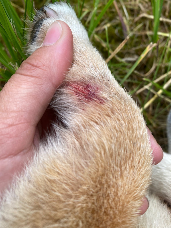 C35F284C-7CE1-4F42-A8B7-E853675D1447