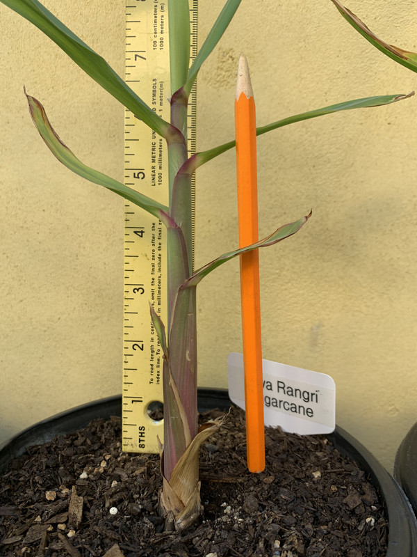 1E835268-4AA3-4883-AF95-C859AC1B3E7B