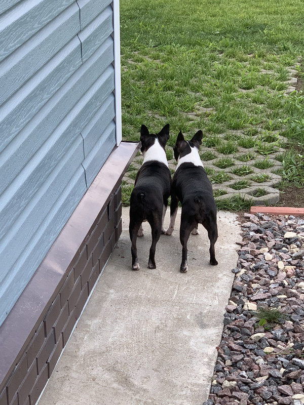 668E2206-EAAA-403A-98CB-F7DAAA7B8314