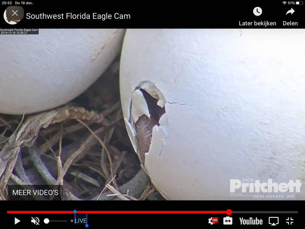 C348444E-FD4E-482E-AEA1-1D5524E5BF4B