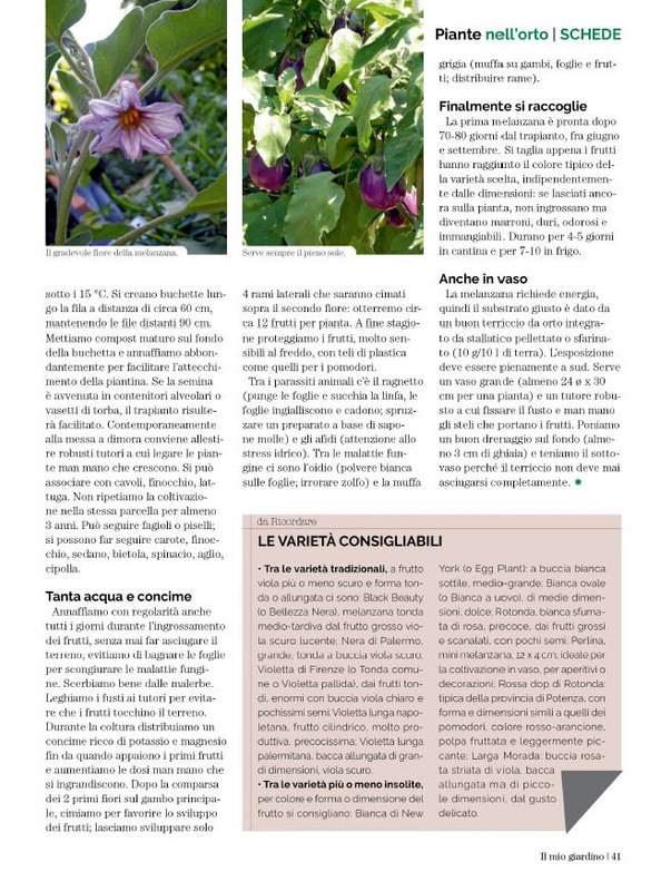 Il Mio Giar Apr-Mag 2023 (8)