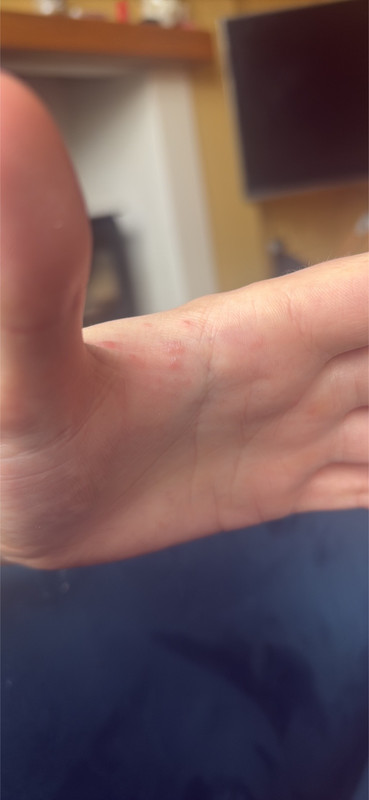 IMG F86BD57E 3AB7 4AEB 91BC 97440F2F8A7D