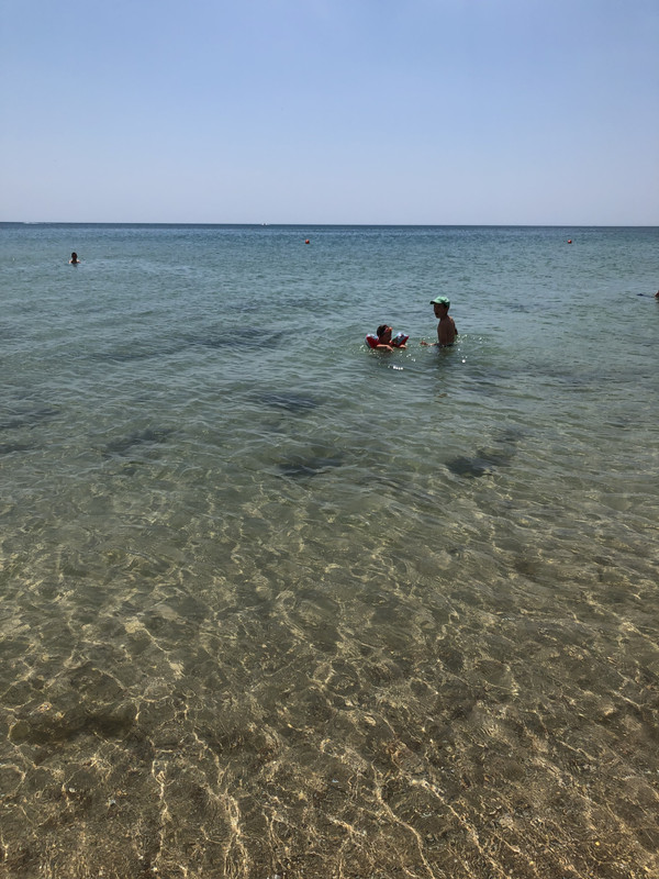 3D455371-E541-4FF5-B282-581ACBC1FA1F