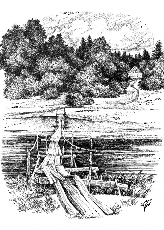 Belozerov-Timofej-Smorodinovyj-kust-1977-page-0064
