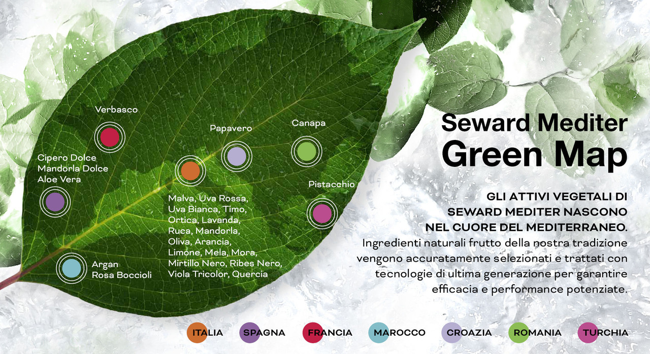 Seward Mediter Green Map