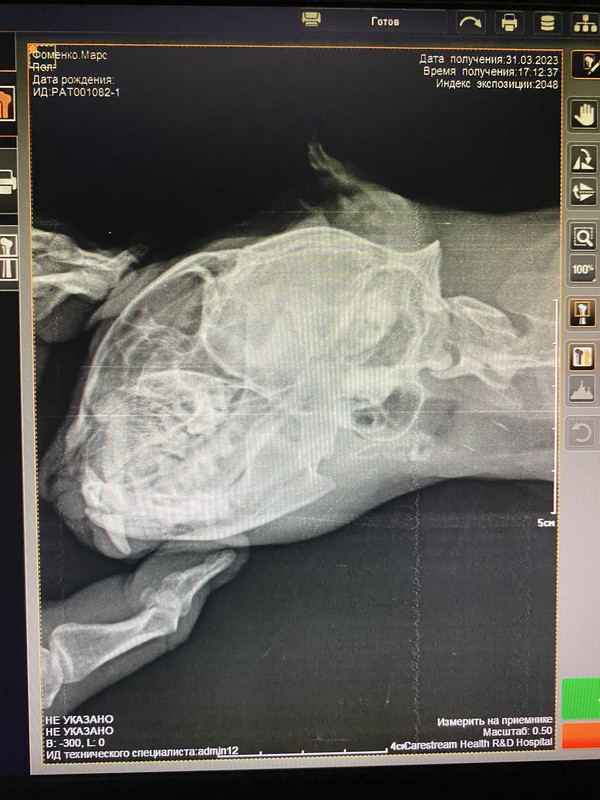 BDE39B1A-D03B-4E0E-B6FB-D16B1C7DBAE8