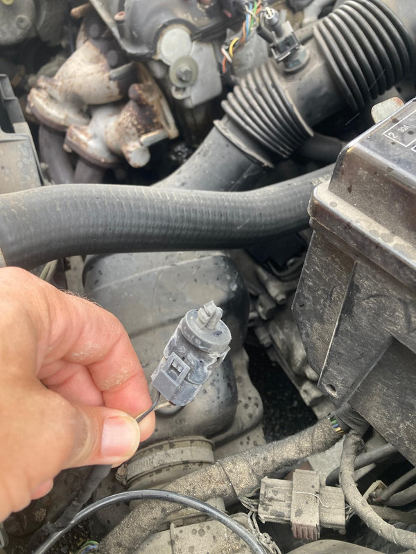 Afbeelding van WhatsApp op 2025-08-02 om 11.52.20_36d6c712