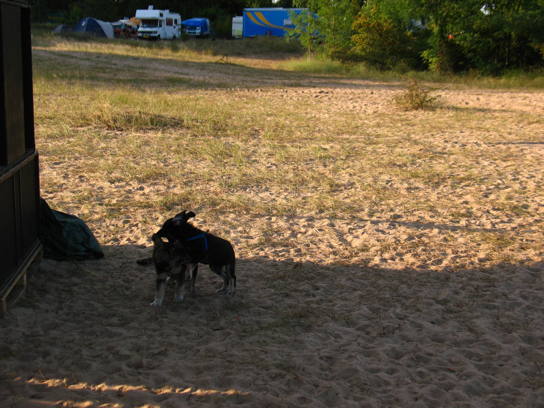 Teknival 2014 Schkorpilovzi (135)