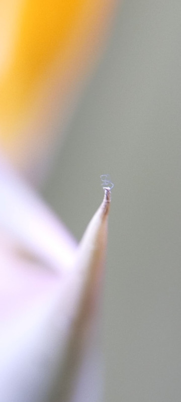 Whats App Image 2025 12 31 at 23 58 59