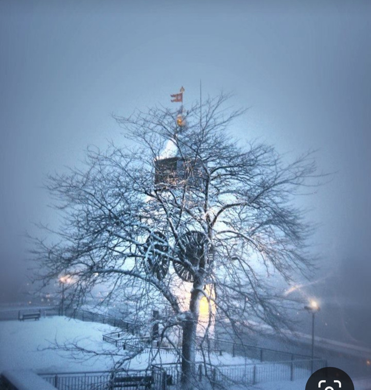 Screenshot_20231118_235046_Pinterest