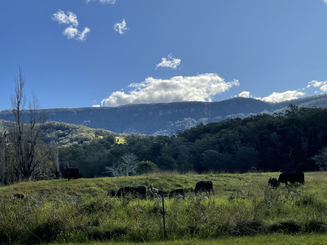 80E64301-1102-4B6A-9CA4-C090D917DABB