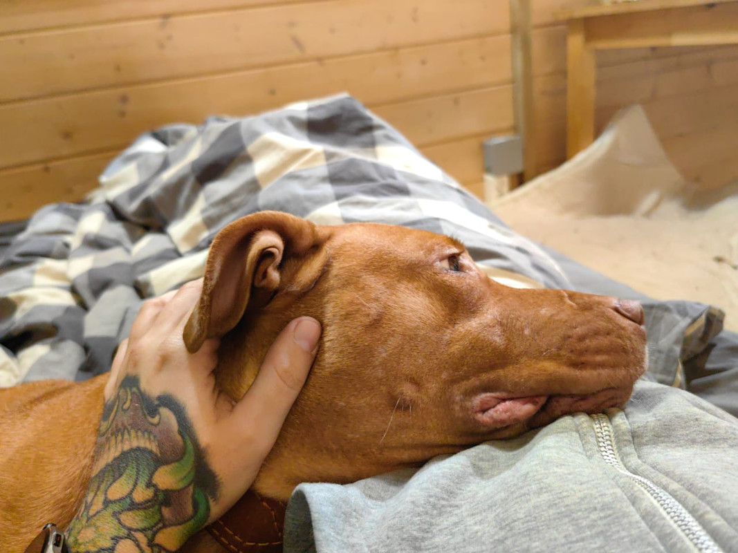 8FD5E8A4-CC7E-4C0E-9893-8A6679F92ED6