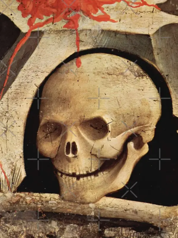 skull-of-adam.webp