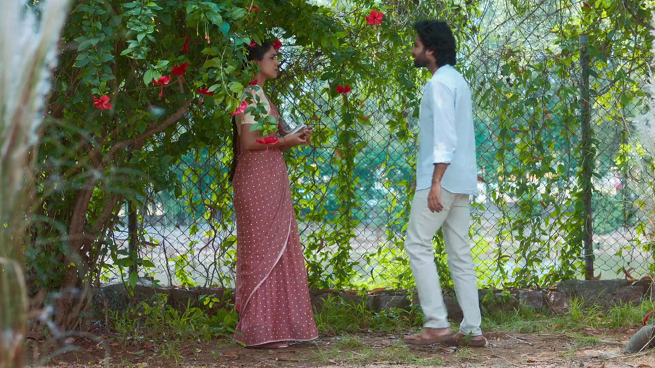 vlcsnap-2025-06-09-08h43m06s383