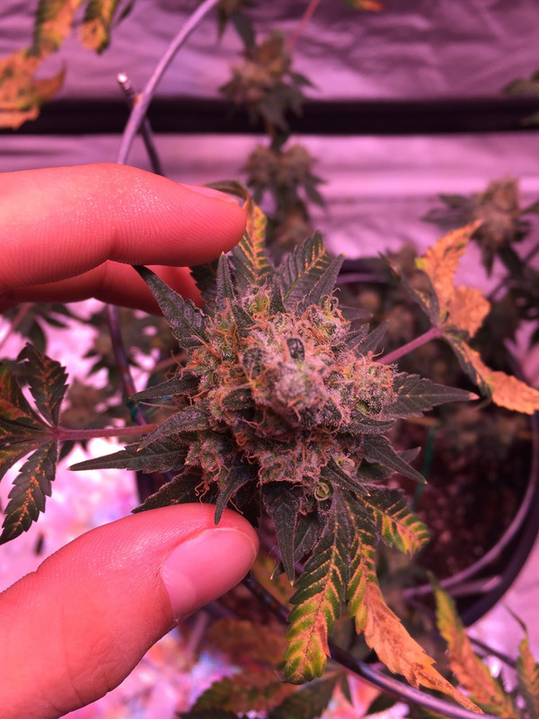 40E722FD-B726-4C57-BE59-6BF439FFC423