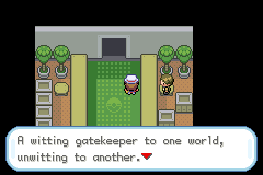 the player is in the safari zone entrance.