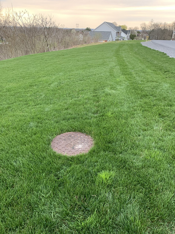 Photo Apr 07, 6 24 48 PM