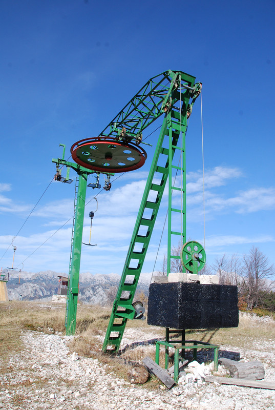 vogel okt 2022 (132)