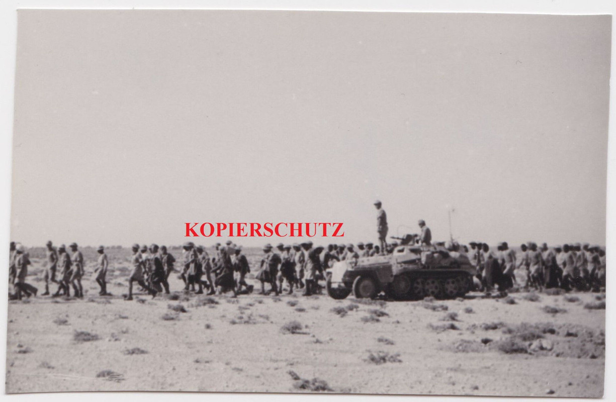 Foto Afrikakorps Panzerspähwagen Panzer Tank POW