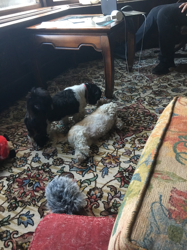 AA305ED2-5A0F-4E18-B77F-001674542BFD