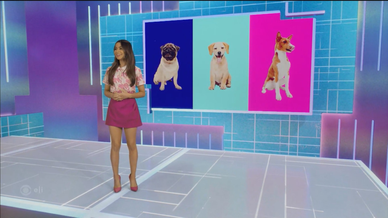 Mission.Unstoppable.S06E22.Creating.Animatronics,.Cute.Aggression.and.Composting.ts_snapshot_10.40.3