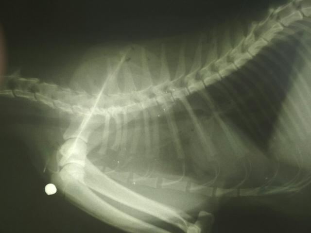 IMG-e6eac1e3287bbb8028c70236dfac6e97-V