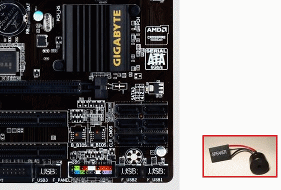 sp4.gif