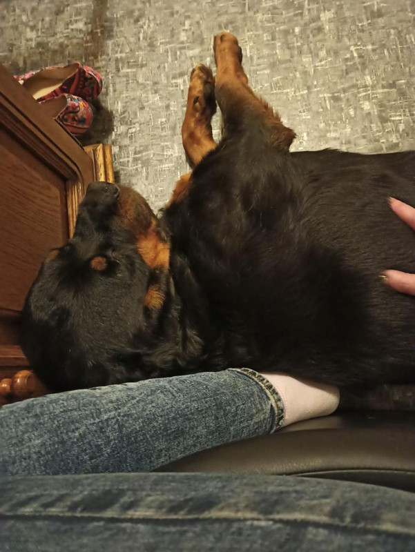 70909F74-0126-4FC7-B623-F9F0D3CE049C