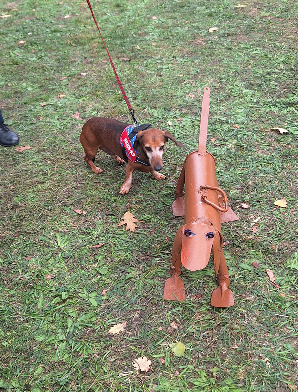 [Image: 20251005-140940.jpg]