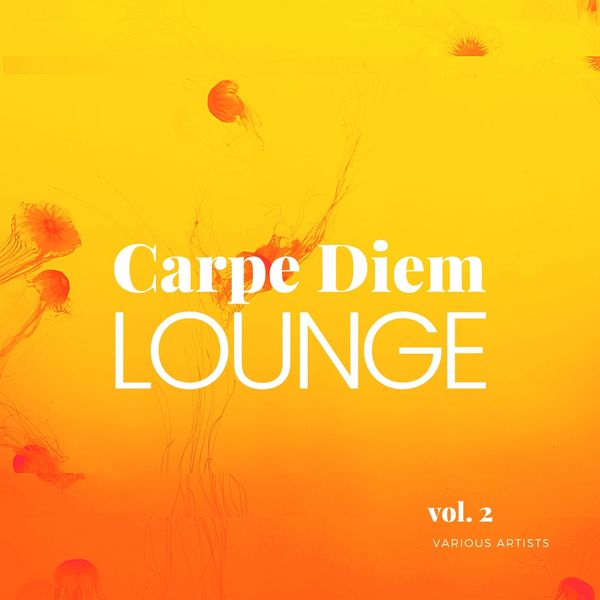Various Artists Carpe Diem Lounge Vol 2 2021 FLAC 16 B 44 1k Hz - VA - Carpe Diem Lounge Vol. 2 (2021)