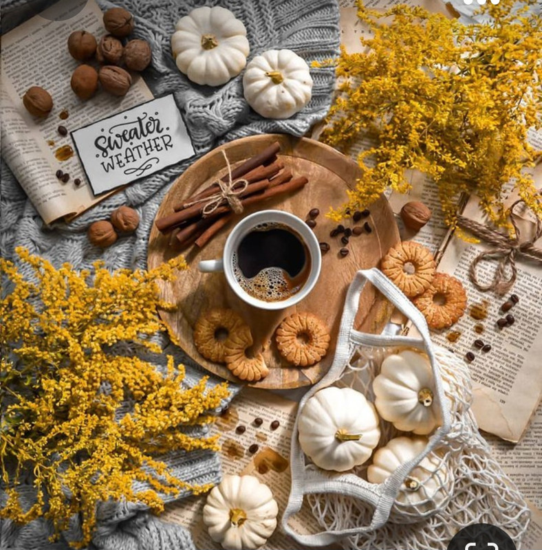 Screenshot_20230922_223002_Pinterest