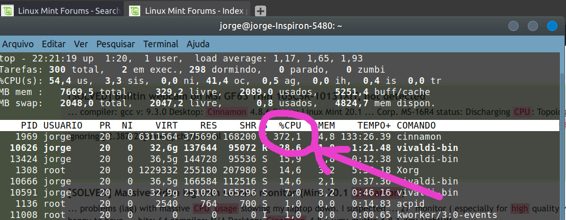 cinnamon-high cpu usage-2