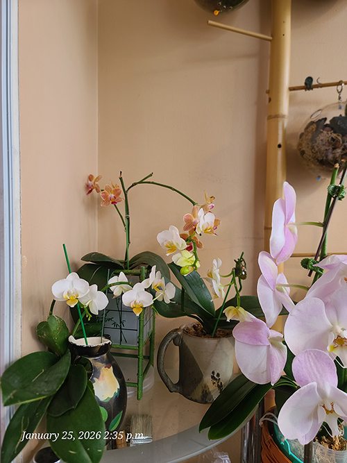 [Image: 20260125-143508.jpg]