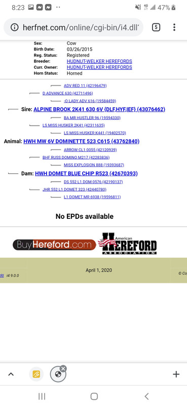 Screenshot_20200401-202330_Chrome