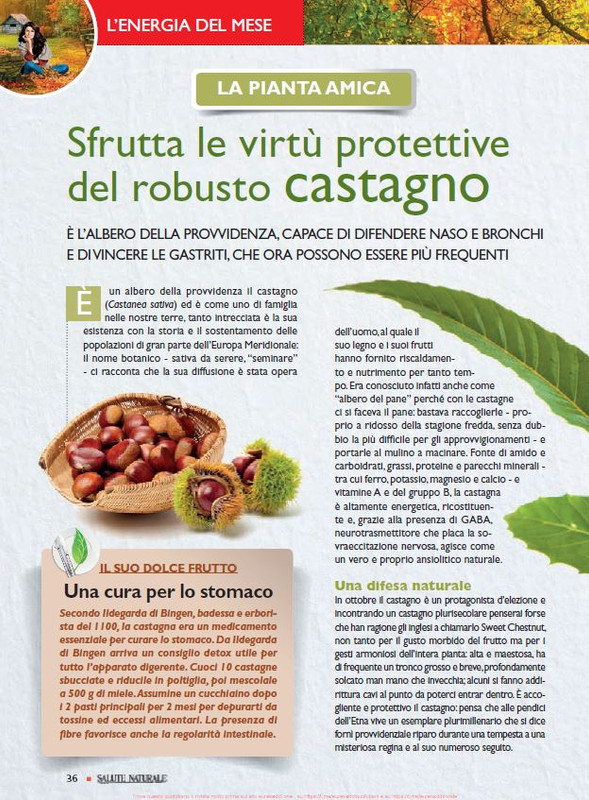 Sal Nat Ott 2021 (5)