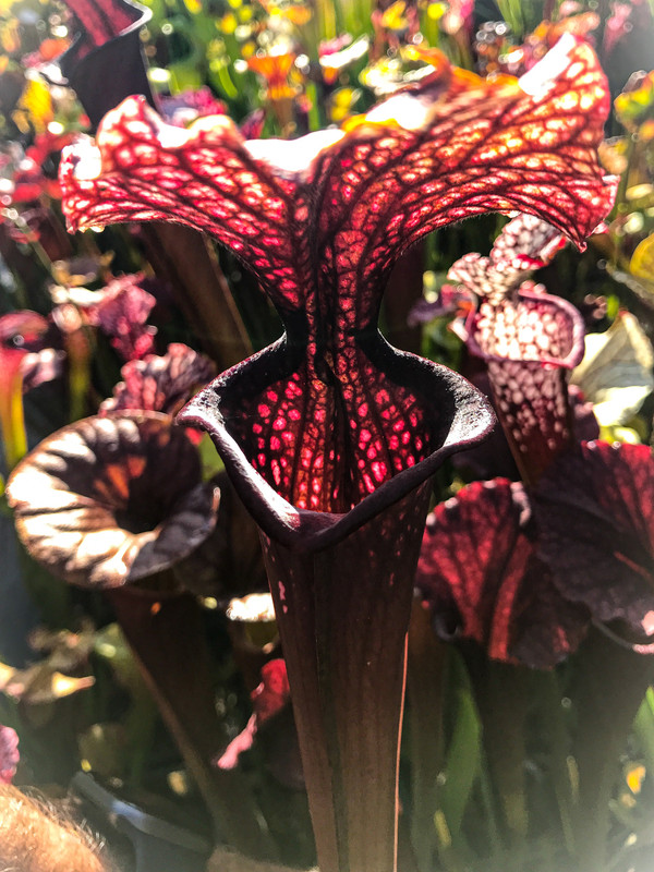 6FFDE4D3-CD19-4774-A40E-A6565EEC9C89