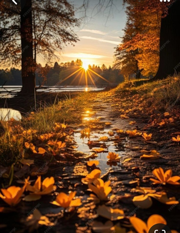 Screenshot_20231217_213452_Pinterest